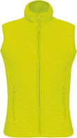 Fluorescent Yellow