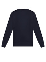 Navy (PMS 5395C)